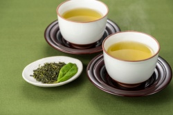 Verse groene thee Verse groene thee