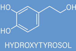 Hydroxytyrosolmolecuul Hydroxytyrosolmolecuul