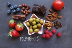 Voeding met polyfenolen Voeding met polyfenolen