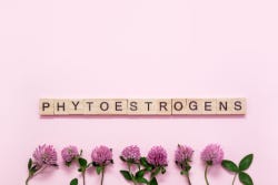 Het woord 'Phytooestrogens' met rode klavers 