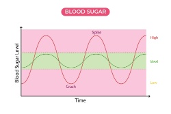 De bloedsuikerspiegel