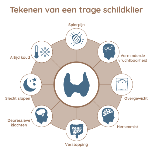 Tekenen van een trage schildklier zijn altijd koud, depressieve klachten, spierpijn, verminderde vruchtbaarheid, overgewicht, hersenmist, verstopping, slecht slapen,