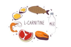 Voedingsbronnen van carnitine Voedingsbronnen van carnitine