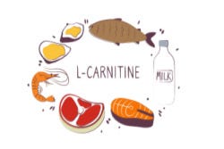 Voedingsbronnen van carnitine