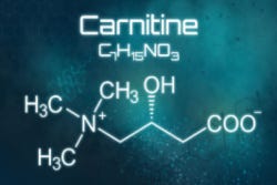 De opbouw van carnitine