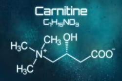 De opbouw van carnitine De opbouw van carnitine