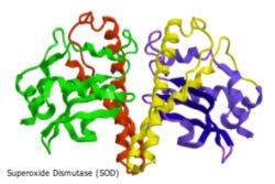 Superoxide Dismutase (SOD)