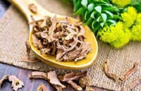 Verse en gedroogde rhodiola Verse en gedroogde rhodiola