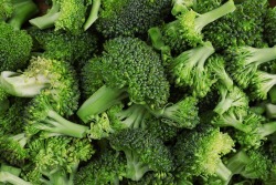 Broccoli Broccoli