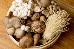 Verschillende paddenstoelen rijk aan L-ergothioneïne Verschillende paddenstoelen rijk aan L-ergothioneïne